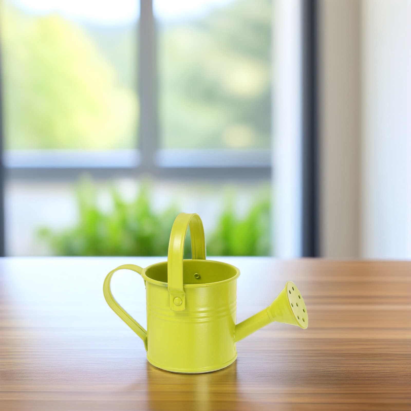 Watering Can - Pequeña regadera de metal galvanizado, mini